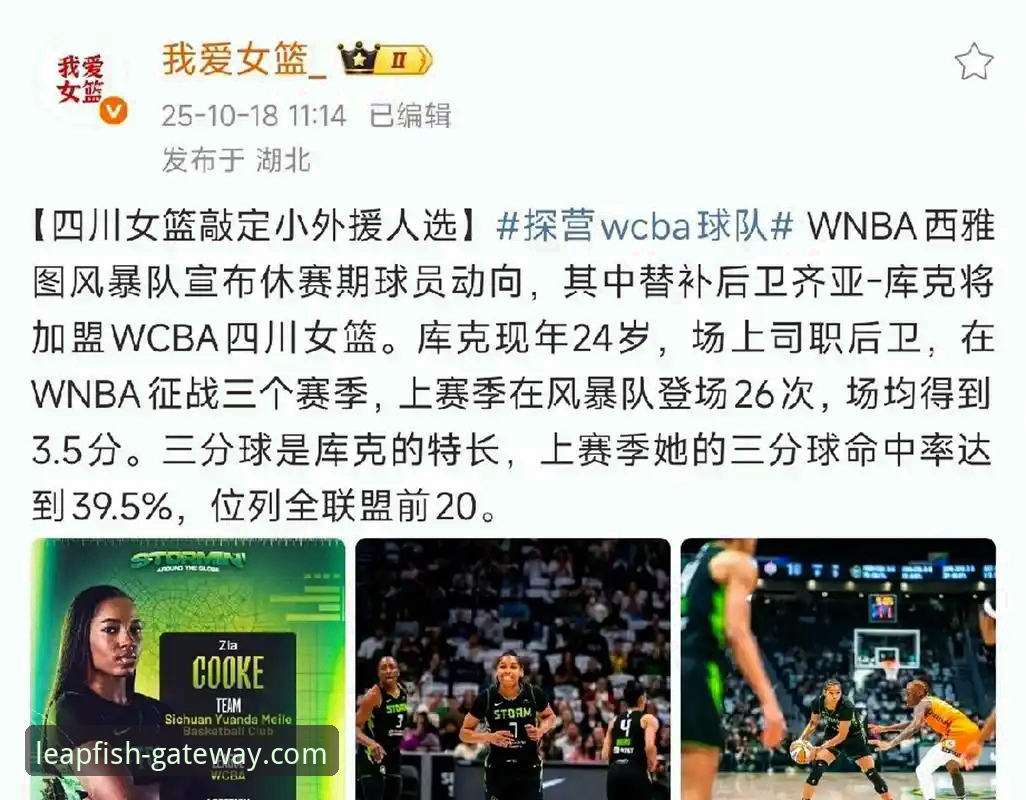 WCBA总决赛G1分差纪录深度分析：四川女篮三外援体系全面解析